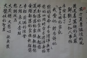 DSC03596